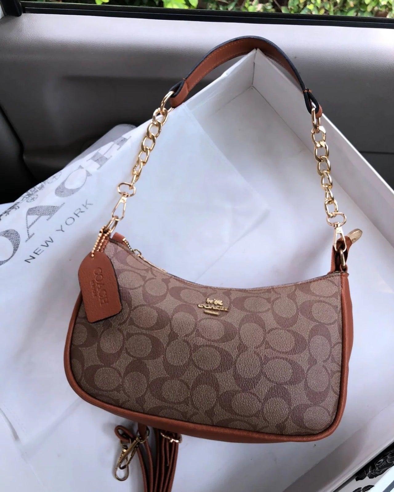 Coach Skin
